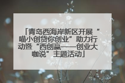 青岛西海岸新区开展“喵小创贷你创业”助力行动暨“西创赢——创业大咖说”主题活动