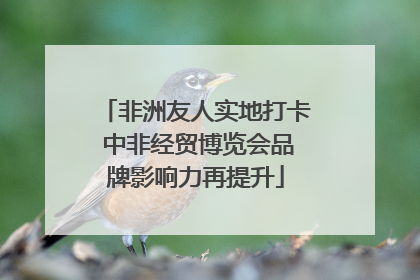 非洲友人实地打卡 中非经贸博览会品牌影响力再提升