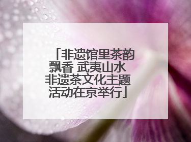 非遗馆里茶韵飘香 武夷山水非遗茶文化主题活动在京举行