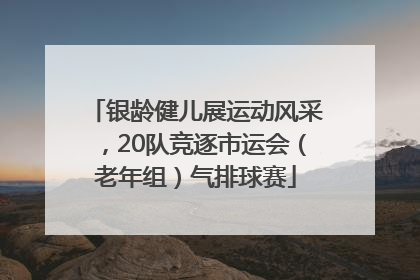 银龄健儿展运动风采，20队竞逐市运会（老年组）气排球赛