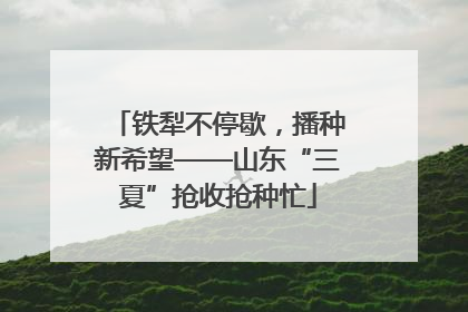 铁犁不停歇，播种新希望——山东“三夏”抢收抢种忙