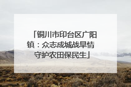 铜川市印台区广阳镇：众志成城战旱情 守护农田保民生
