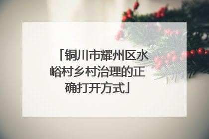 铜川市耀州区水峪村乡村治理的正确打开方式
