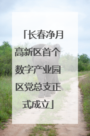 长春净月高新区首个数字产业园区党总支正式成立