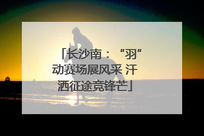 长沙南：“羽”动赛场展风采 汗洒征途竞锋芒