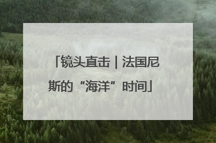 镜头直击｜法国尼斯的“海洋”时间