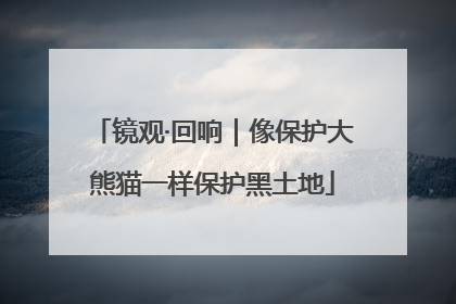镜观·回响｜像保护大熊猫一样保护黑土地