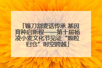 镰刀割麦话传承 基因育种启新程——第十届杨凌小麦文化节见证“颗粒归仓”时空跨越