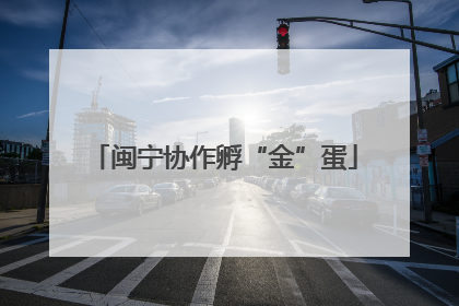 闽宁协作孵“金”蛋