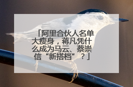阿里合伙人名单大瘦身，蒋凡凭什么成为马云、蔡崇信“新搭档”？