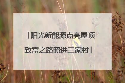 阳光新能源点亮屋顶 致富之路照进三家村