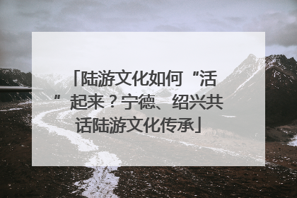 陆游文化如何“活 ”起来？宁德、绍兴共话陆游文化传承
