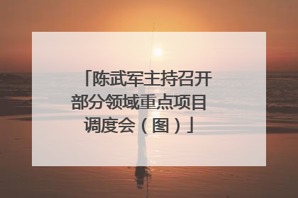 陈武军主持召开部分领域重点项目调度会（图）