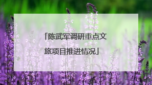陈武军调研重点文旅项目推进情况