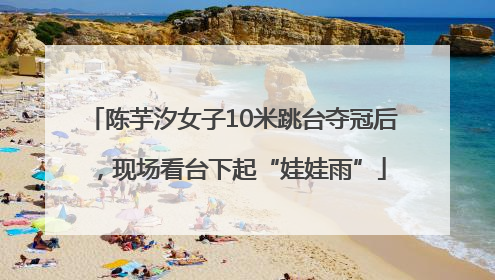 陈芋汐女子10米跳台夺冠后，现场看台下起“娃娃雨”