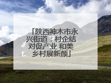 陕西神木市永兴街道：村企结对促产业 和美乡村展新颜