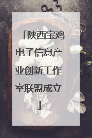 陕西宝鸡电子信息产业创新工作室联盟成立