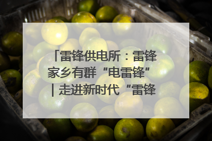 雷锋供电所：雷锋家乡有群“电雷锋”｜走进新时代“雷锋传人 长沙榜样”