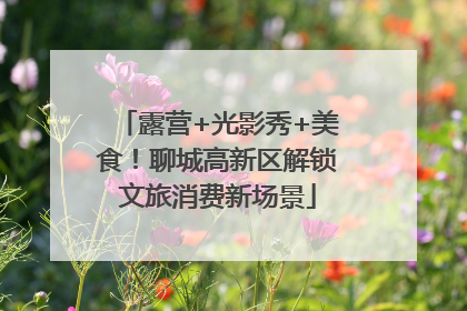 露营+光影秀+美食！聊城高新区解锁文旅消费新场景