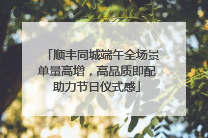 顺丰同城端午全场景单量高增，高品质即配助力节日仪式感
