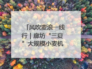 风吹麦浪一线行｜廊坊“三夏”大规模小麦机收全面开始