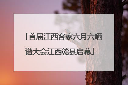 首届江西客家六月六晒谱大会江西赣县启幕