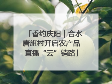 香约庆阳｜合水唐旗村开启农产品直播“云”销路
