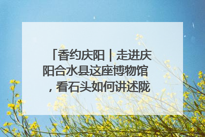 香约庆阳｜走进庆阳合水县这座博物馆，看石头如何讲述陇东千年历史