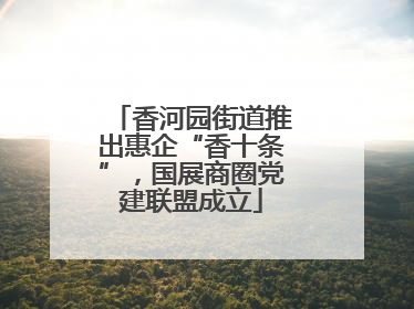 香河园街道推出惠企“香十条”，国展商圈党建联盟成立