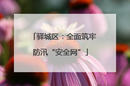 驿城区：全面筑牢防汛“安全网”