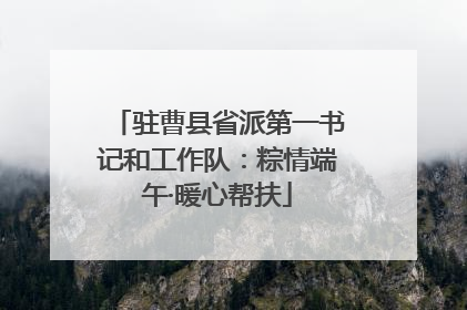 驻曹县省派第一书记和工作队：粽情端午·暖心帮扶