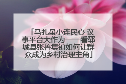 马扎虽小连民心 议事平台大作为——看郓城县张鲁集镇如何让群众成为乡村治理主角