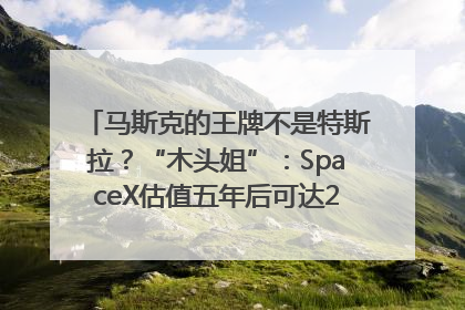 马斯克的王牌不是特斯拉？“木头姐”：SpaceX估值五年后可达2.5万亿美元！