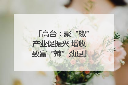 高台：聚“椒”产业促振兴 增收致富“辣”劲足