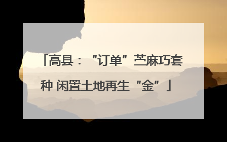 高县：“订单”苎麻巧套种 闲置土地再生“金”