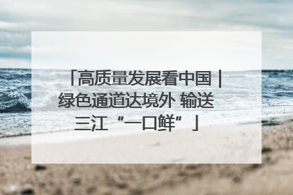 高质量发展看中国｜绿色通道达境外 输送三江“一口鲜”