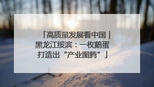 高质量发展看中国｜黑龙江绥滨：一枚鹅蛋打造出“产业图腾”