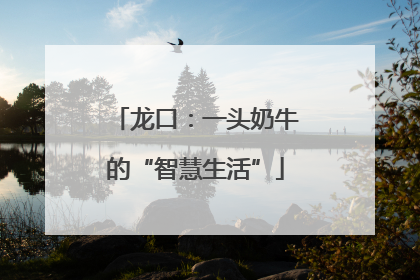 龙口：一头奶牛的“智慧生活”