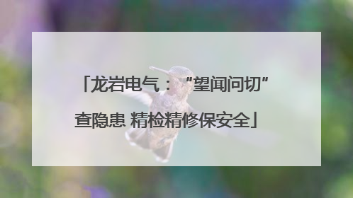 龙岩电气：“望闻问切”查隐患 精检精修保安全