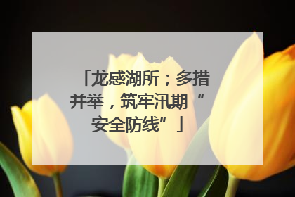 龙感湖所；多措并举，筑牢汛期“安全防线”