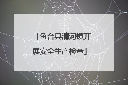 鱼台县清河镇开展安全生产检查