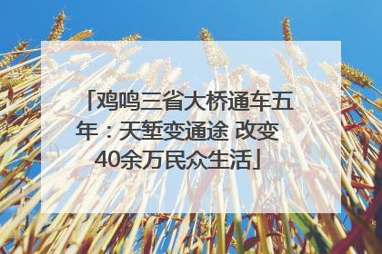 鸡鸣三省大桥通车五年：天堑变通途 改变40余万民众生活