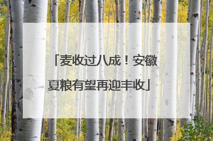 麦收过八成！安徽夏粮有望再迎丰收