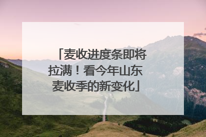 麦收进度条即将拉满！看今年山东麦收季的新变化