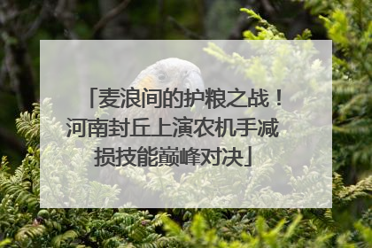 麦浪间的护粮之战！河南封丘上演农机手减损技能巅峰对决