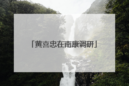 黄喜忠在南康调研
