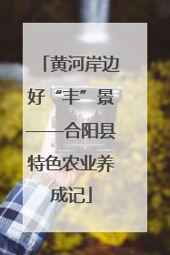 黄河岸边好“丰”景——合阳县特色农业养成记