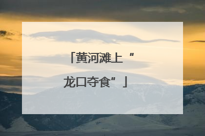 黄河滩上“龙口夺食”
