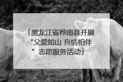 黑龙江省桦南县开展“父爱如山 真情相伴”志愿服务活动