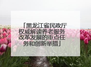 黑龙江省民政厅权威解读养老服务改革发展的重点任务和创新举措